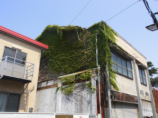 緑が生い茂った家①